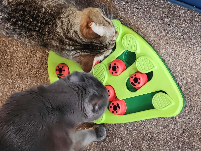 OUTWARD HOUND® NINA OTTOSSON® MELON MADNESS PUZZLE & PLAY TOY FOR CATS