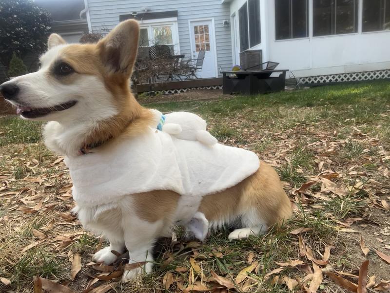 Side-ish view after taking the hat off -she is much happier!