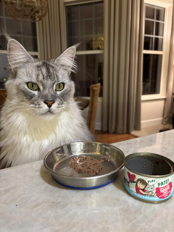 Roxy loves this food.