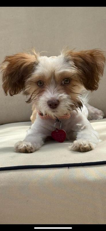 Ashley. 3 months old loves it