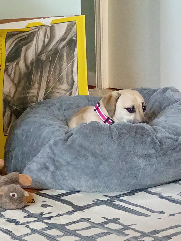 Soft and fluffy, comfy-cozy