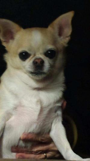 Miss Khloe!