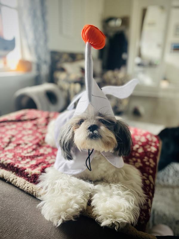 Temporarily Unavailable FETCH FOR PETS Disney Halloween