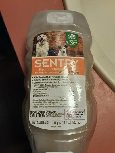 Sentry best sale flea shampoo