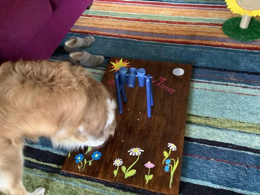 TRIXIE Dog Activity Mad Scientist Puzzle for Dogs Level 2, Turn Around  (32019)