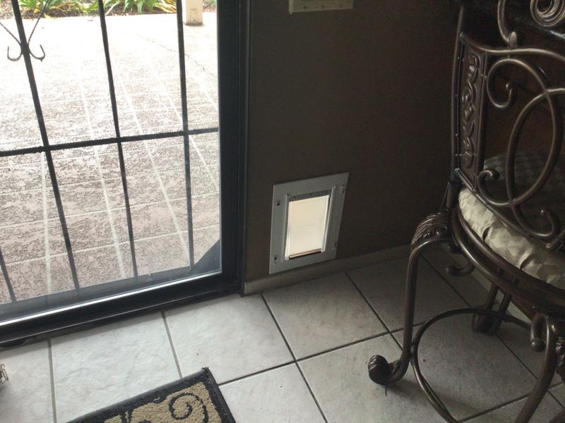 PETSAFE Wall Entry Dual Flap Pet Door with Closing Panel, White, Medium