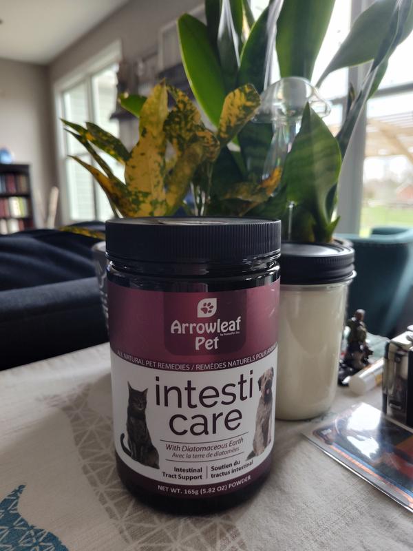 Ready to give it a go