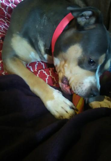 She loves them!