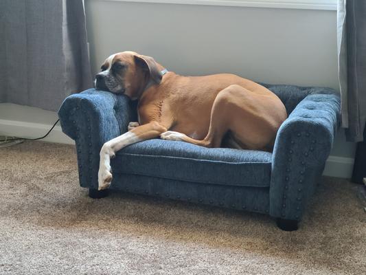 Lazy boy deals dog bed