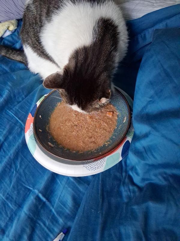 Another happy customer!