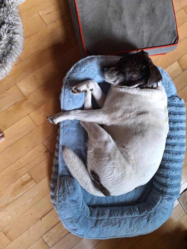 nestled inside