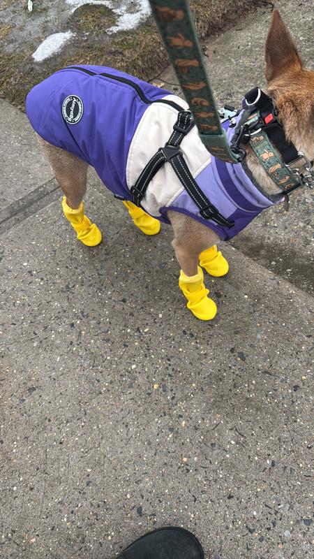 Perfect rain boots