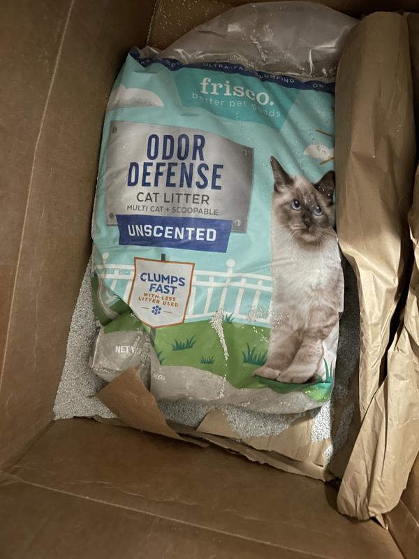 Odor defense cat litter sale