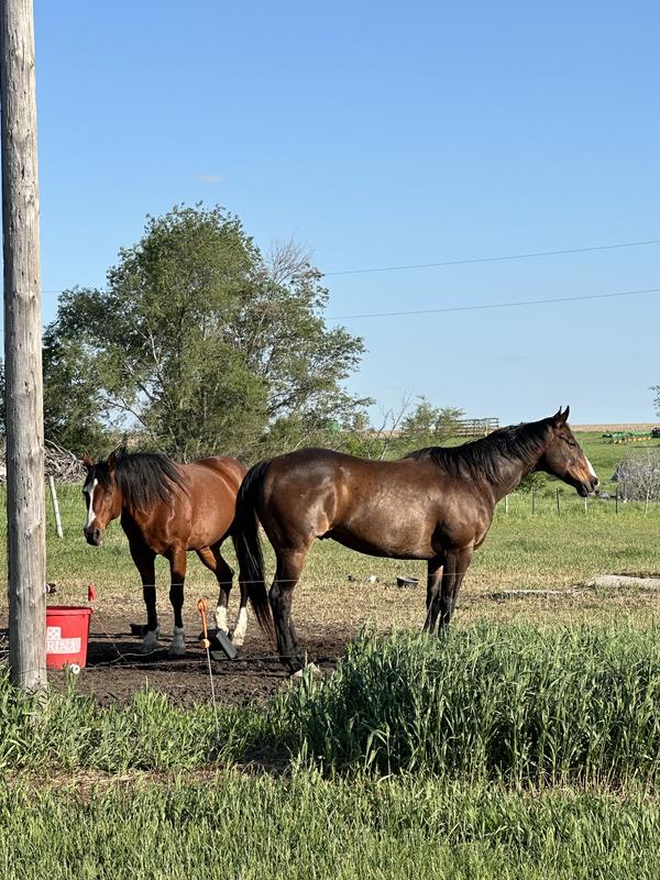 Both after, 3 months in, middle of summer
