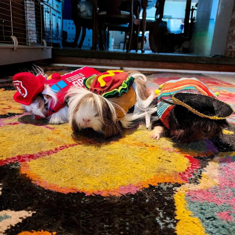 Ready for Halloween!