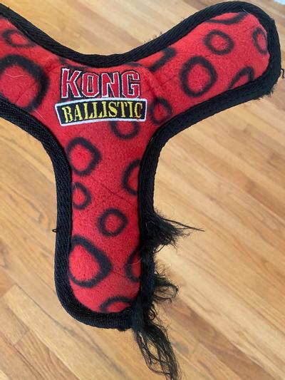 Kong shop ballistic boomerang