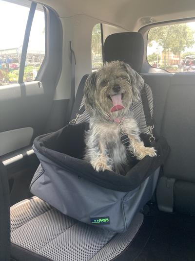 JESPET Car Travel Dog Booster Seat, Pink - Chewy.com