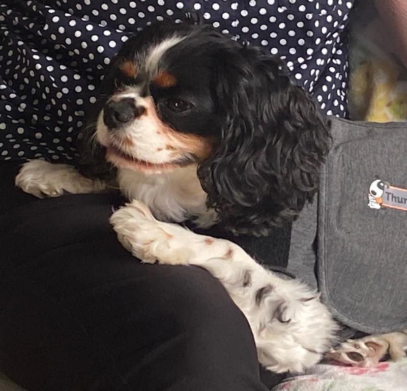 His first time wearing it during a storm