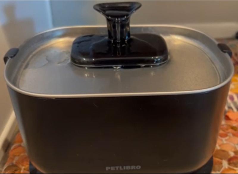 Defective Petlibro Dockstream Cat Water Fountain