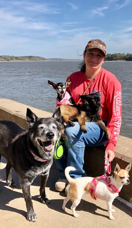 From small to large and old to young