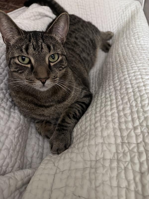 Watcha got there, mom?