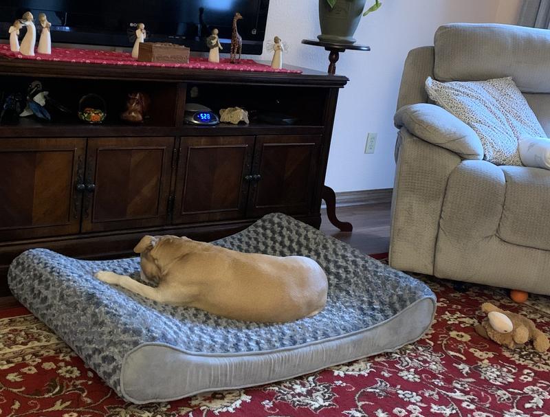 Luxe Lounger Dog Bed - Ultra Plush