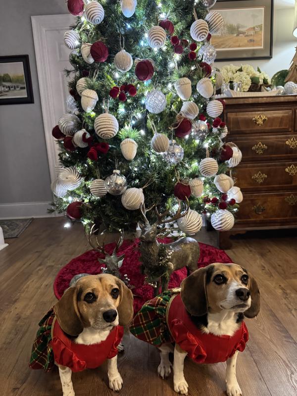 Cute Christmas girls!
