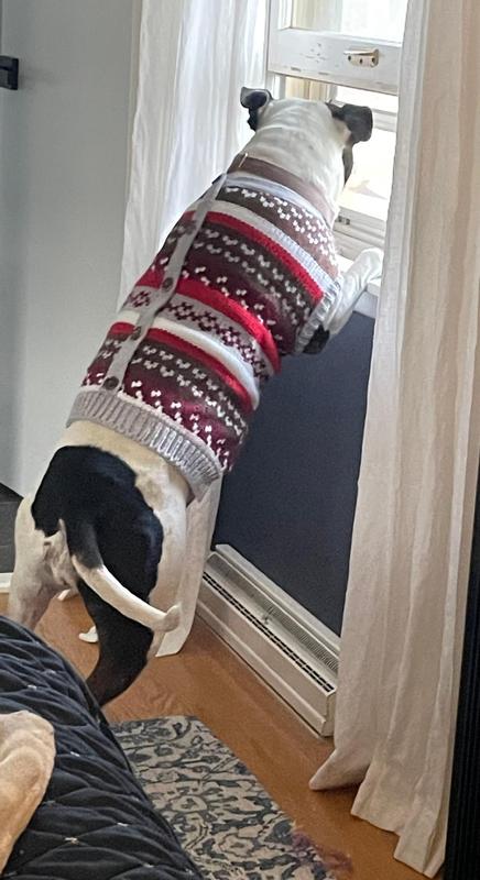 Frisco Chunky Knit Multi Stripe Dog & Cat Sweater with Polar Fleece Lining