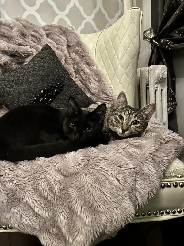 Satisfied after their tummies are full!