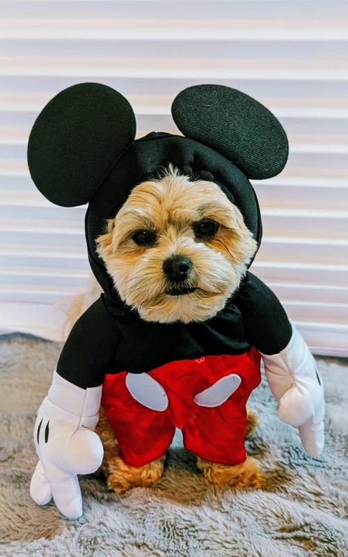 OH BOY!  Where's Pluto?