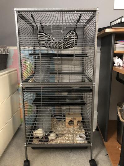 Temporarily Unavailable WARE Living Room Series Critter Home