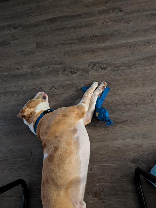 Izak cuddling with his new favorite toy