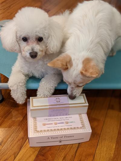 Can't even hold still for a quick pic.