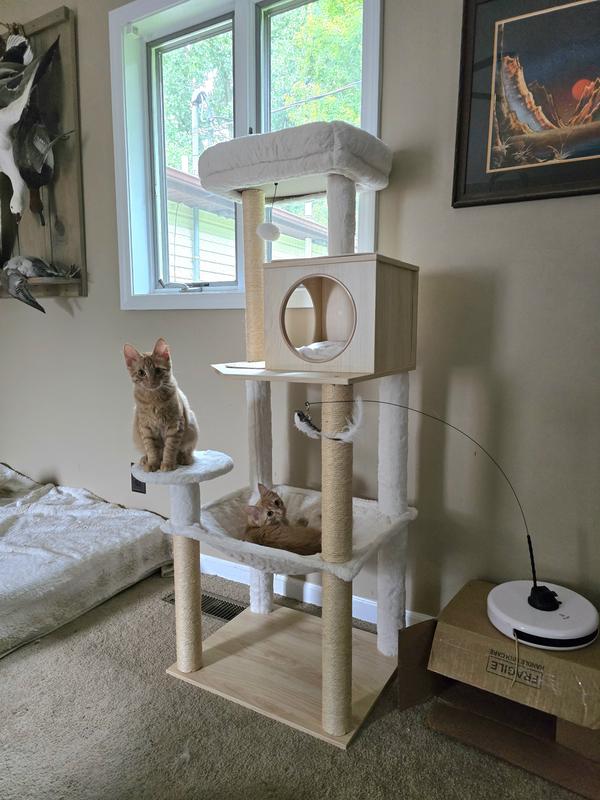 Just 2 Oranges enjoying their Castle