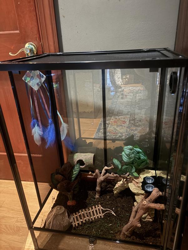 Very pretty tank!