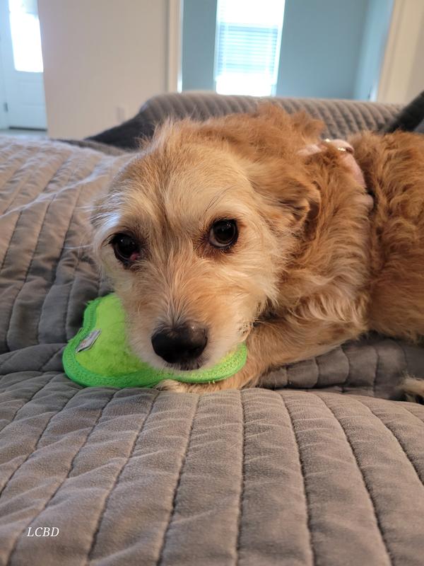 My toy, not yours