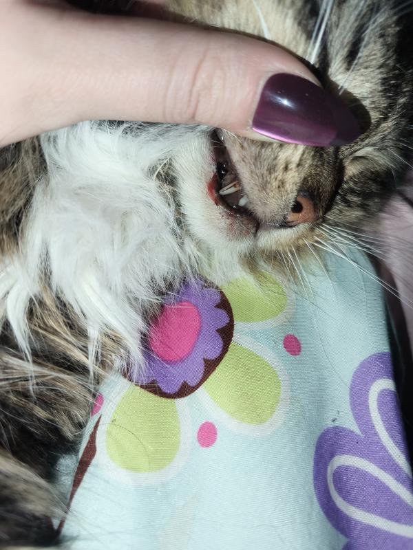 And bleeding and swollen gums after the pill. This happened within days...