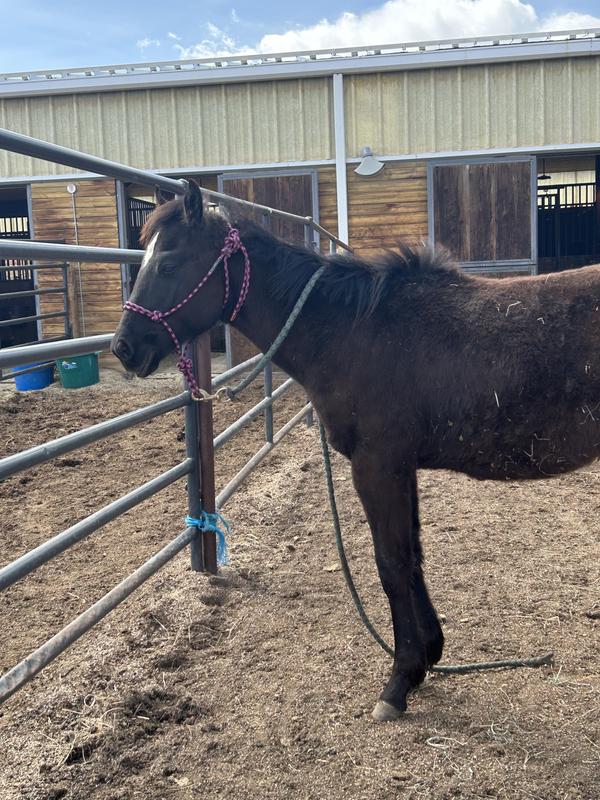 How he looked when I first got him.