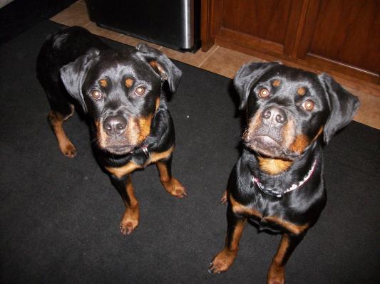 Not as innocent as they look!