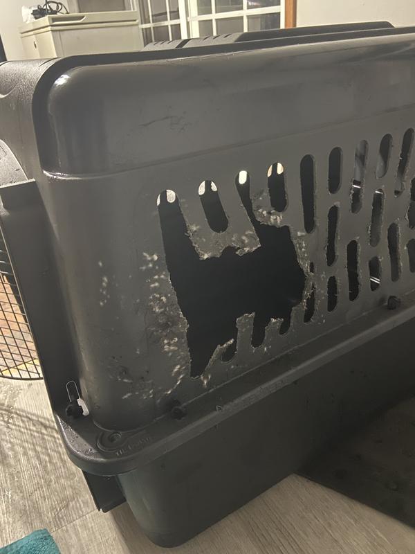 Chewed through vent holes on side