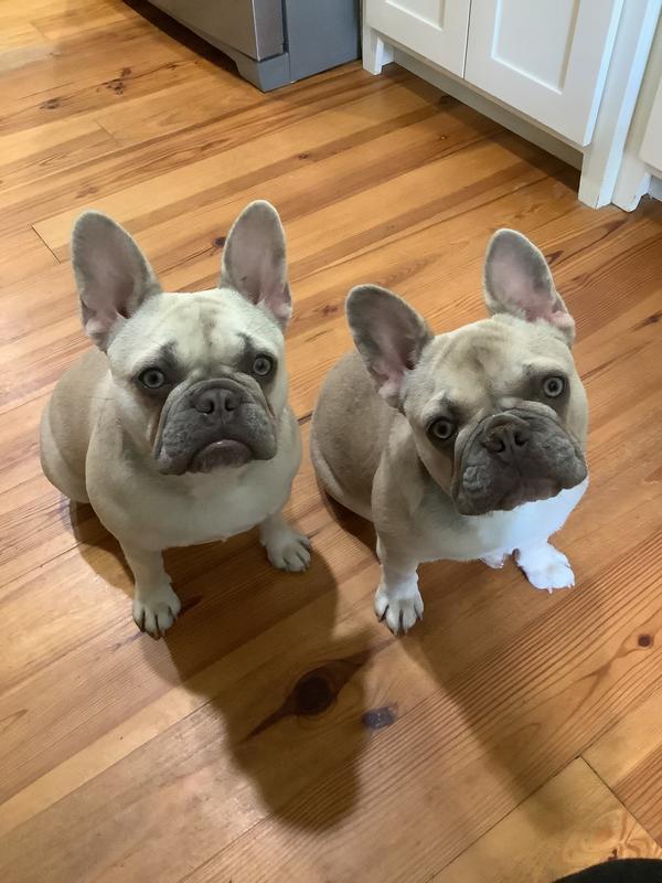 Please mom just one more medicine.