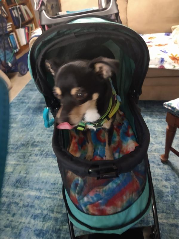 Thirteen-poundJedi fits perfectly in stroller
