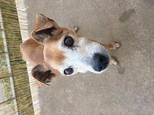 The little old man himself.