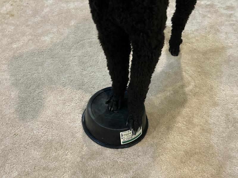 Nice shape and size for a pivot platform