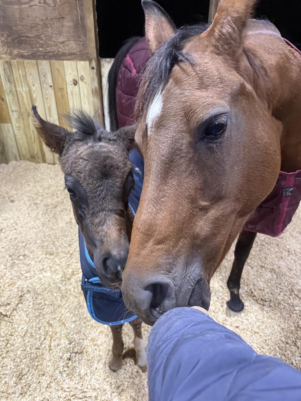 Like taking candy from a baby