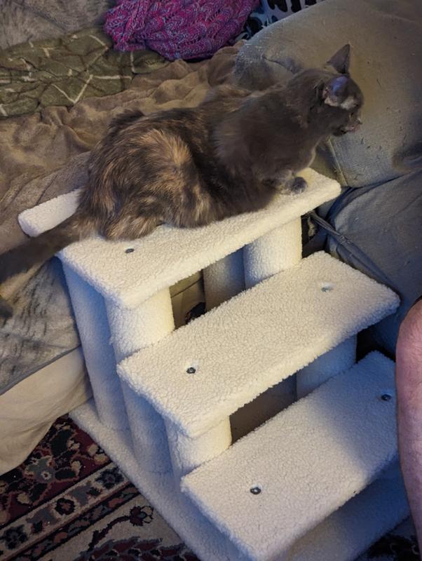 Chewy cat stairs sales