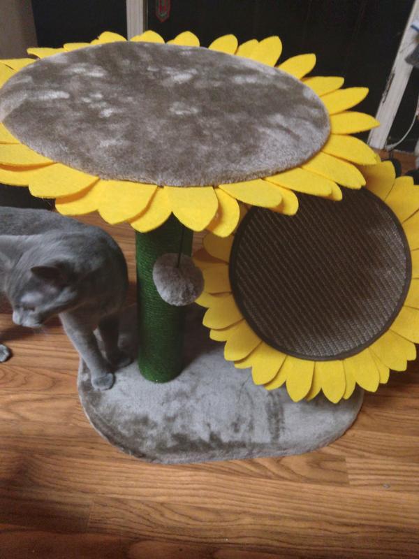 FRISCO Sunflower Cat Scratching Post, Two Post with Lounger