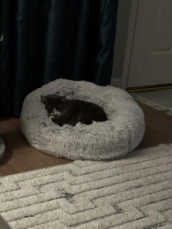 Big boy has plenty of room in the small donut