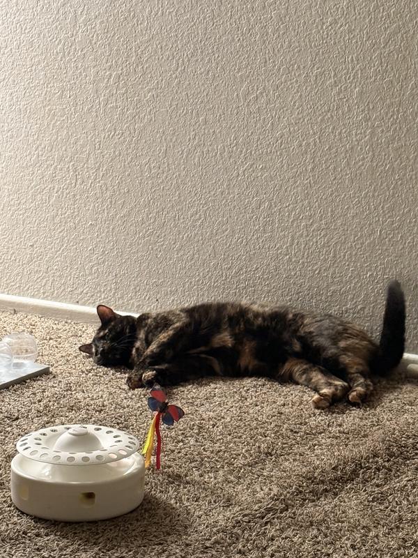 Taking a nap on the floor while her brother plays