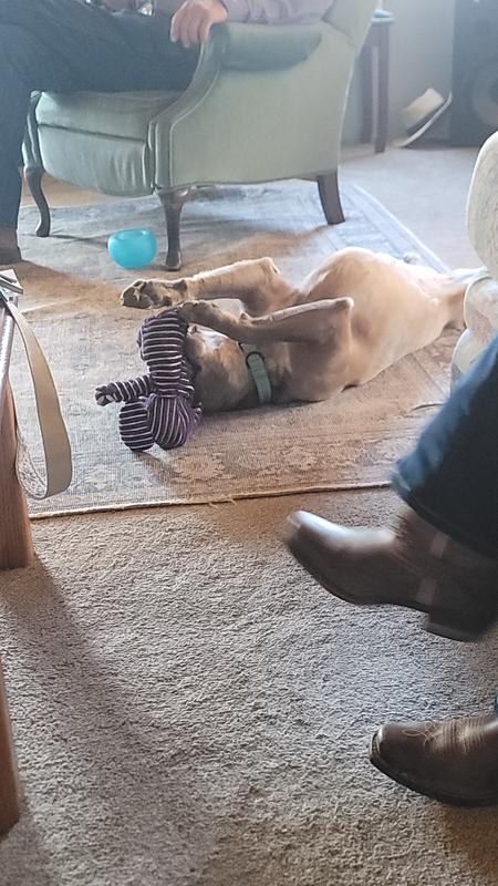 Her favorite toy to date, "timmy"